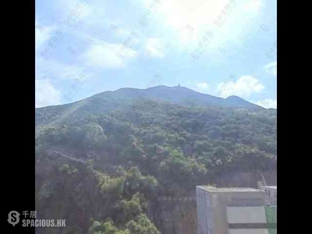 筲箕湾 - 香岛5座 11