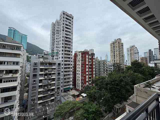 Happy Valley - Ventris Terrace 04
