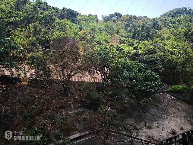 筲箕湾 - 香岛5座 22