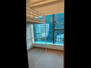Shau Kei Wan - Lime Gala 02