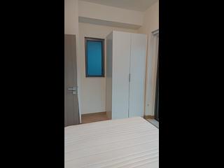 Shau Kei Wan - Lime Gala 04