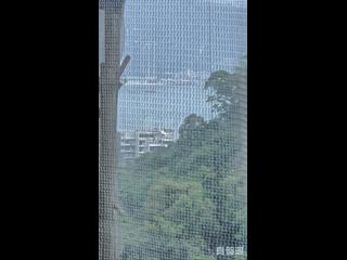 寶馬山 - 天寶大廈 02