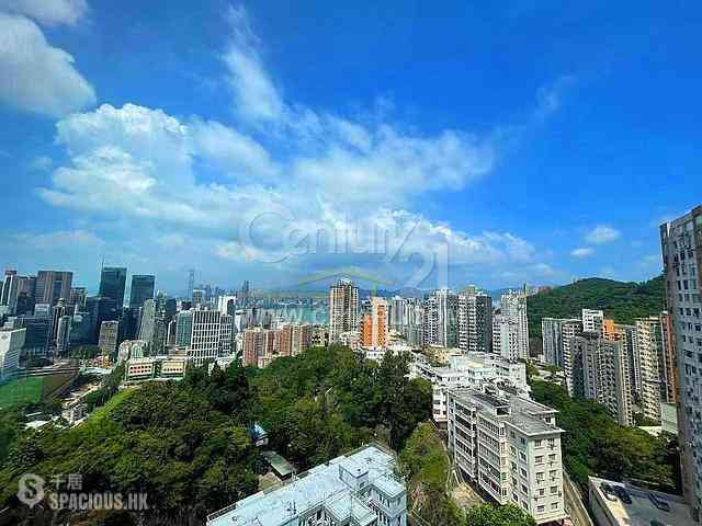 Tai Hang - Swiss Towers 01
