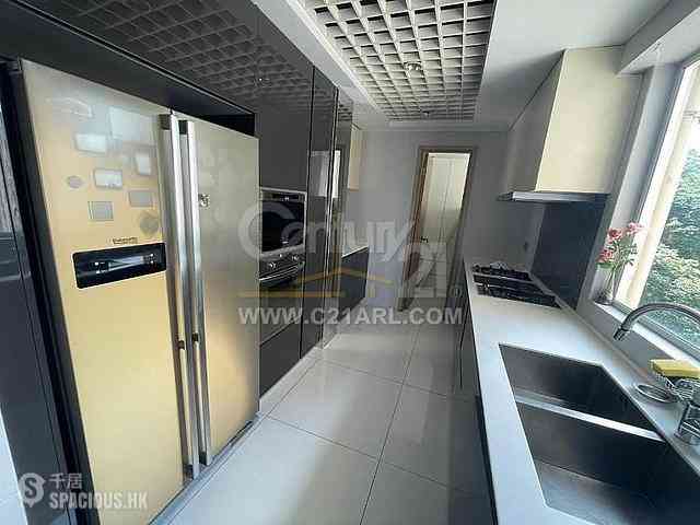 Tai Hang - Swiss Towers 04