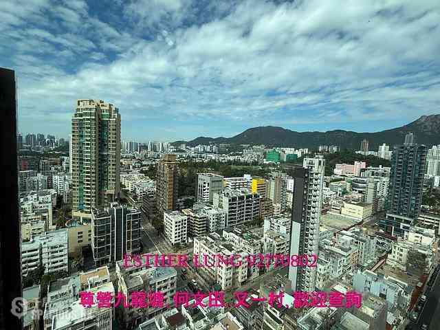Kowloon City - Genius Court 01