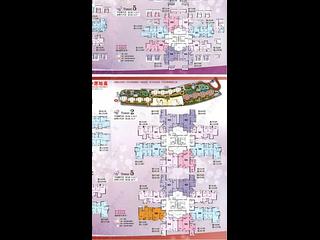 大圍 - 名城3期 盛世2座 10