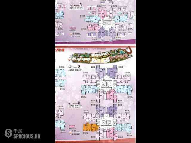 大圍 - 名城3期 盛世2座 10