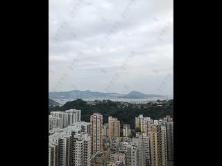 Shau Kei Wan - Harmony Place 13