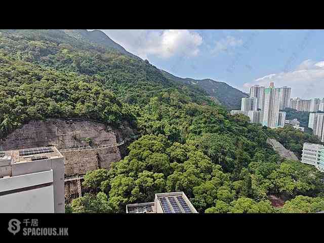 筲箕湾 - 香岛2座 11