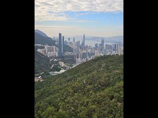 大潭 - 阳明山庄 眺景园 16