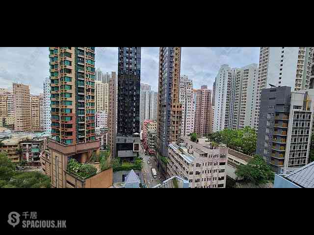 西湾河 - 港岛·东18 23