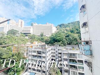 天后 - 華園 11