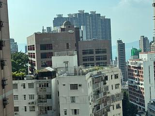 西半山 - 巴丙頓山 08