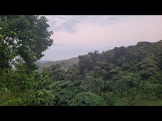 清水湾 - 下洋新村 24