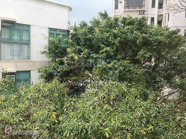 Pok Fu Lam - Bisney Villas 01