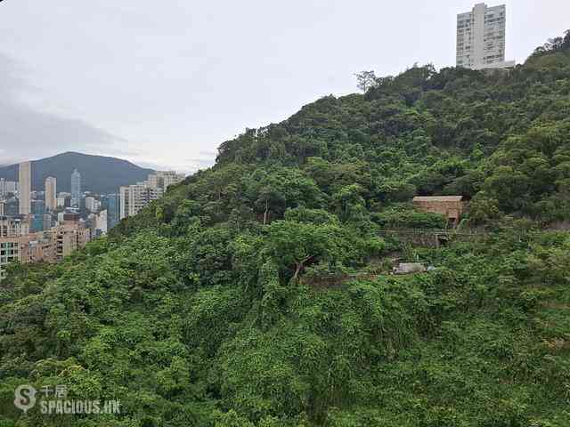 東半山 - 慧景臺B座 01