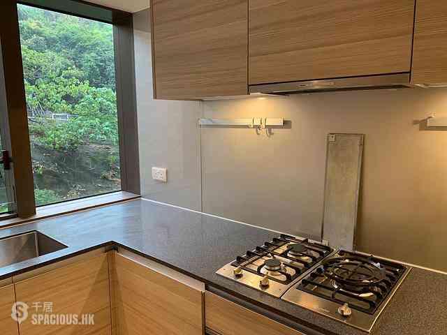 Shau Kei Wan - Island Garden 03