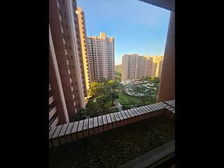 大潭 - 阳明山庄 摘星楼 32