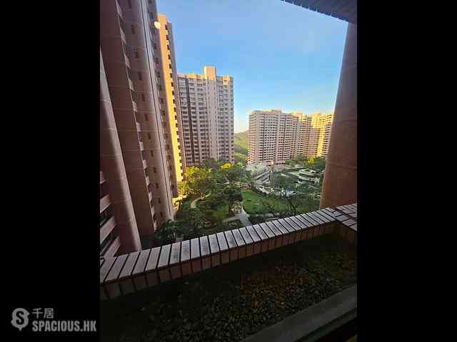 大潭 - 阳明山庄 摘星楼 32