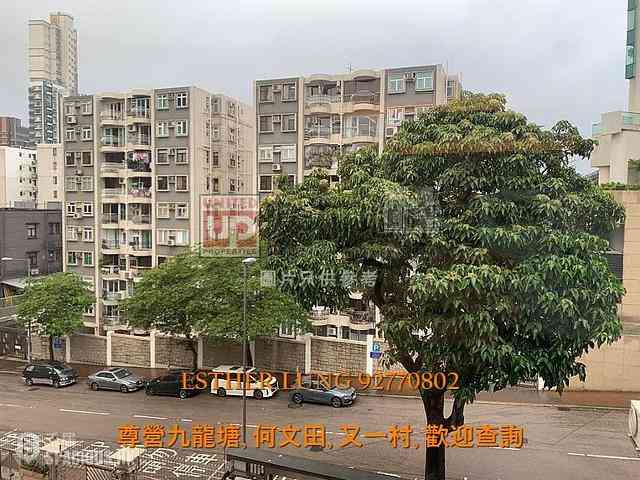 Kowloon City - Serene Court 01