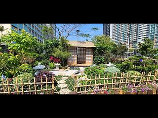 Sai Wan Ho - Les Saisons Le Printemps (Tower 1) 11