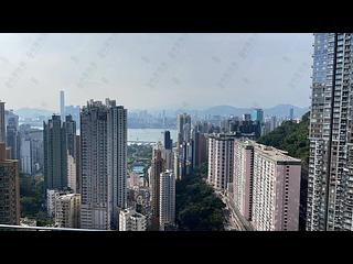 Tai Hang - The Legend Block 2 05