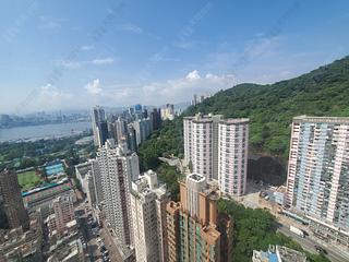 Happy Valley - Fortuna Court 03