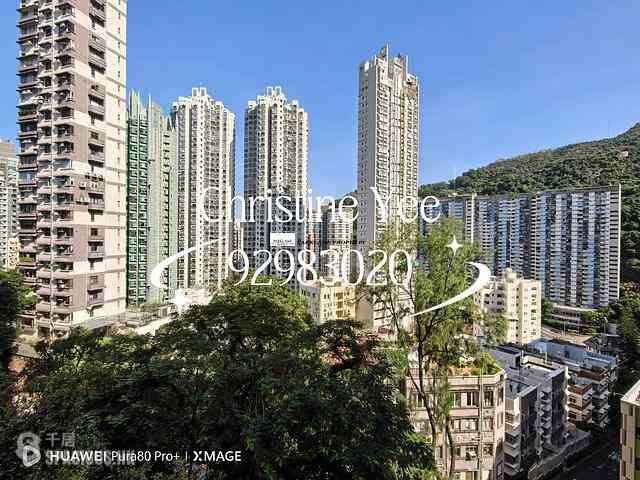 Tai Hang - Carnation Court 03