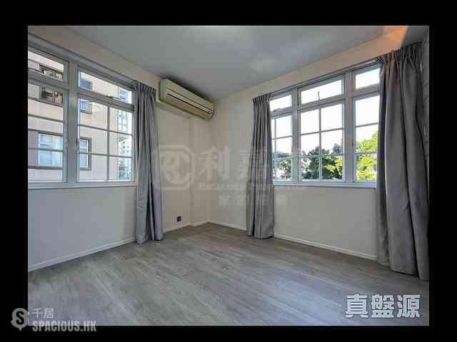 Stubbs Road - Sheffield Garden 04