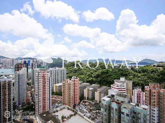 Shau Kei Wan - Lime Gala 02