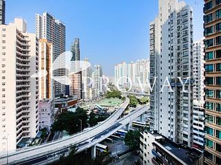 Shau Kei Wan - Lime Gala 02