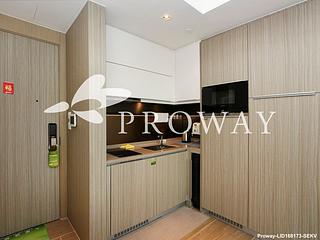 Shau Kei Wan - Lime Gala 06
