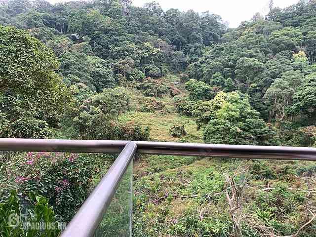 Tai Po Kau - Savanna Garden Block 49 04