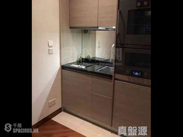 Wan Chai - The Avenue Phase 2 Block 1 03