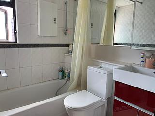 Sheung Shui - Royal Green 12