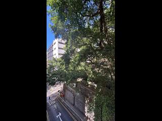 Sai Ying Pun - 35, Eastern Street 08