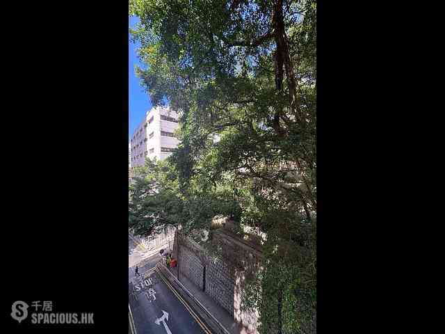 Sai Ying Pun - 35, Eastern Street 08