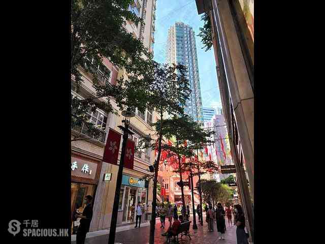 Wan Chai - The Avenue Phase 2 Block 1 03