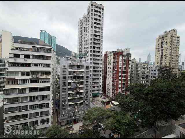 Happy Valley - Ventris Terrace 05