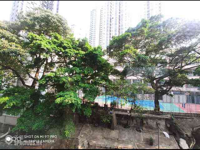 Sai Ying Pun - Tung Wai Garden 07