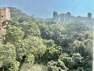 Wan Chai - Star Crest Block 1 08