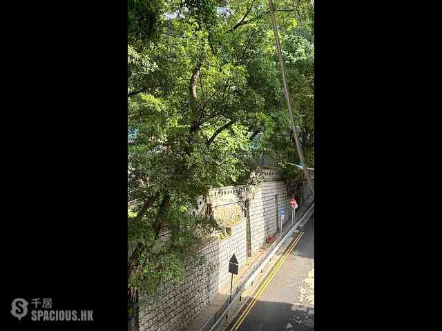 Sai Ying Pun - 35, Eastern Street 09