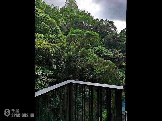 天后 - 柏傲山2座 05