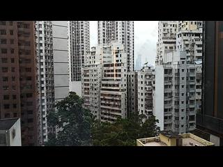天后 - 柏傲山2座 10