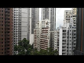 天后 - 柏傲山2座 22