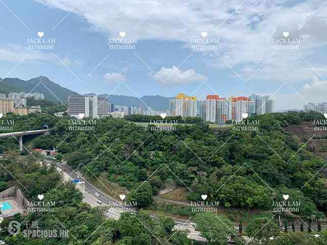 Sham Shui Po - Heya Green 01