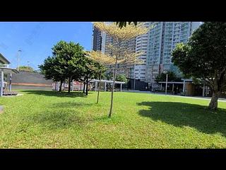Sai Wan Ho - Les Saisons L Automne (Tower 3) 11