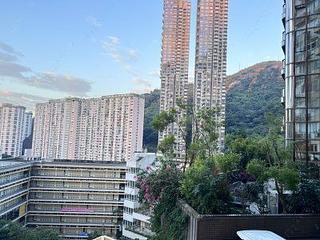 大坑 - 龙园 04