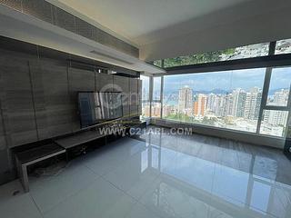 Tai Hang - Swiss Towers 06