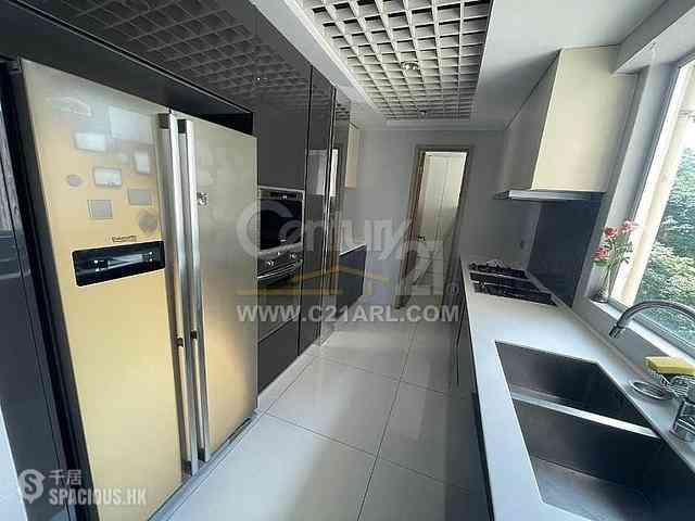 Tai Hang - Swiss Towers 08
